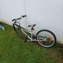 tag along bike Image 3