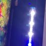Fish tank Image 9