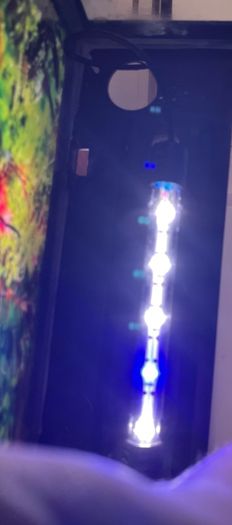 Fish tank