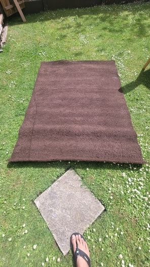 Brown ikea rug