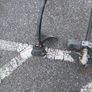 Grass Strimmers + bush cutters Image 4