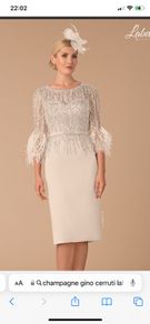 Mother of The Bride/Groom Dress
