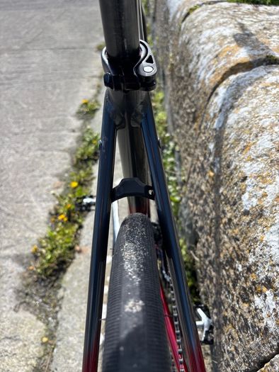 54cm Trek Domane AL 5 Gen 3 Disc