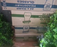 carlsberg Heineken Harp pint glasses