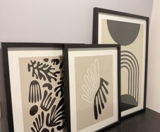 Picture set