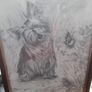 picture Image 4