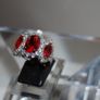 Ring Image 2