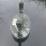 Connemara marble duck Image 6