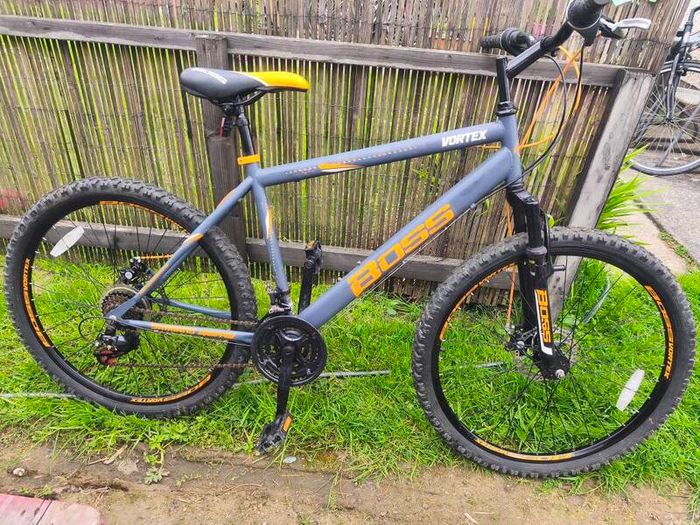 Boss bike