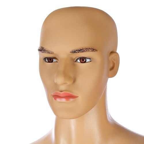 Home or Business male mannequin - FREE Delivery