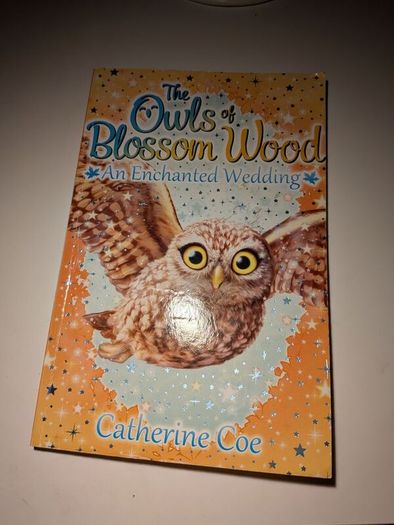Kids fiction books 6+