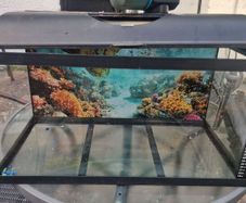 Fish tank and accessories - asking price for tank only
