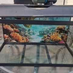 Fish tank and accessories - asking price for tank only