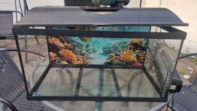 Fish tank and accessories - asking price for tank only