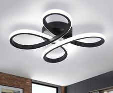 Modern LED Ceiling Light, 30W Black Curved Creative Modern Ceiling Lights Fixture LED for Living Room Bedroom Corridor Aisle Hallway Indoor Office Kitchen Lamp - Cool White Light 6000K