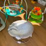 Baby stuff Jumperoo, Bouncer, Swing, Sit me up floor seat Image 3