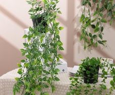 Fake Ivy Potted Plant Outdoor Artificial Trailing Fake Ivy Vines Decor Faux Hanging Plant with Pot Greenery for Home Decor Garden Wall Indoor