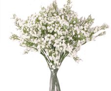 5Pcs Artificial Flowers, Fake Flowers Silk Plastic Artificial Gypsophila Realistic Flower Arrangements Wedding Decoration Table Centerpieces(White)