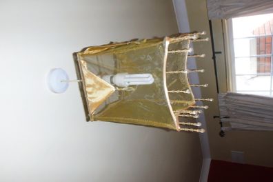 2 lamp shades