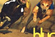 Blur  Parklife 2x Vinyl, LP, Album, Reissue, Remastered, Repress, Gatefold