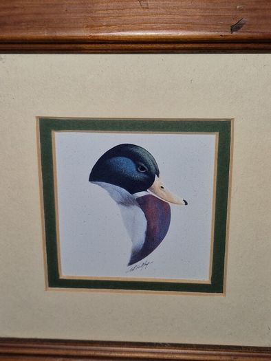 Vintage Drake print