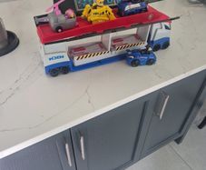Paw patroller