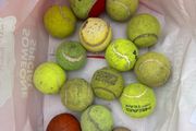 Dog balls mix