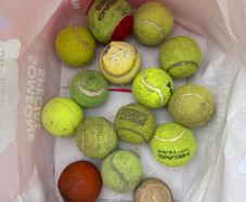 Dog balls mix