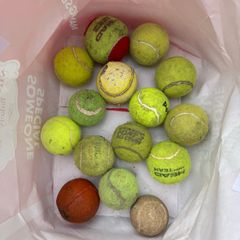 Dog balls mix