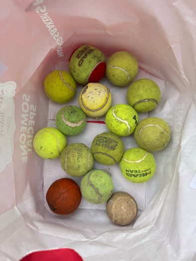 Dog balls mix