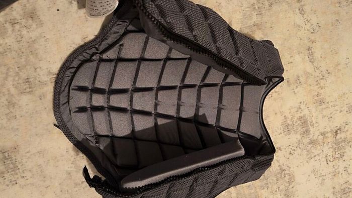 Champion Body Protector
