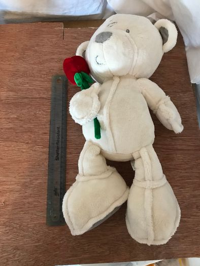 Soft White Teddy Bear holding a red rose