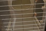 Pet cage...Brand new..