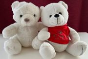 Bundle of Teddies