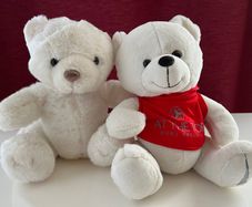 Bundle of Teddies