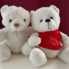 Bundle of Teddies