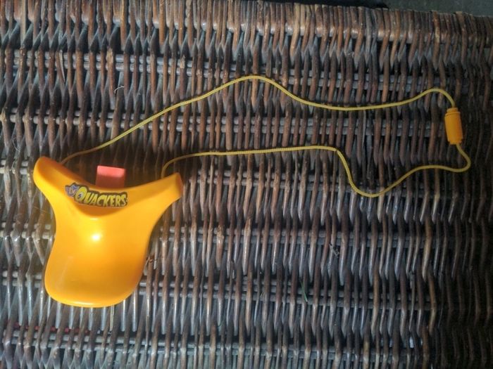 Duck sounding beak whistle