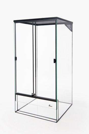 Tall Glass Terrarium With Mesh and Lock