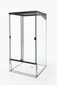 Tall Glass Terrarium With Mesh and Lock