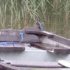 lake boats