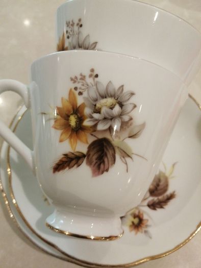 Vintage Royal Tara Bone china trio
