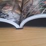 DC Comics: Zero Year (The New 52) Hardcover Image 10