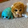 Beanie boos x 4 Image 3