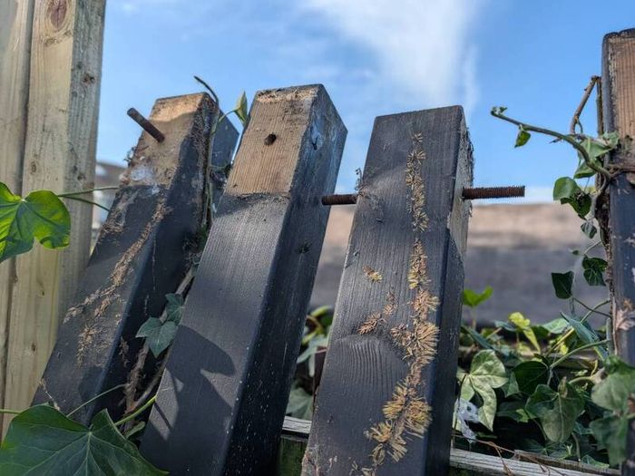 Four 100x100x240 Timber posts