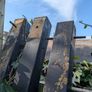 Four 100x100x240 Timber posts Image 2