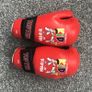 Taekwondo Sparring Gear Image 2