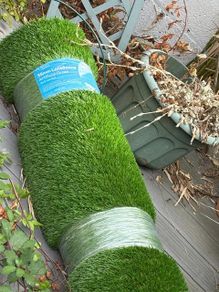 Artificial Grass