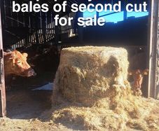 Round bales