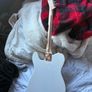 NEED GONE !!! Indonesian eqsuire telecaster Image 10