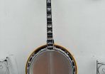 Ibanez Artist Tenor banjo